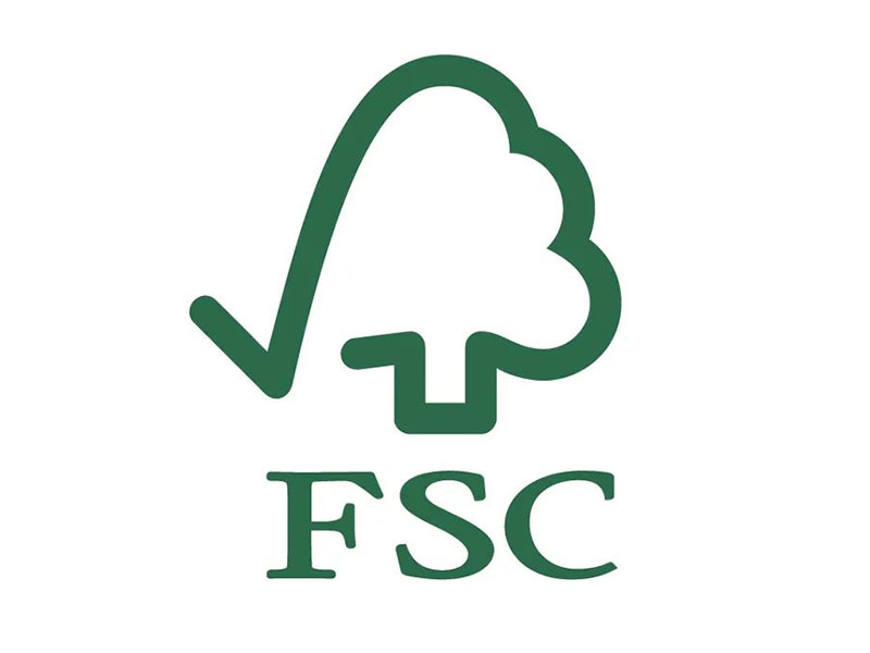 阳江FSC